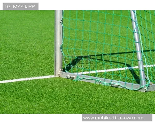 足球场球门价格解析及影响因素探讨,助你选购合适的球门设备 足球场球门价格解析及影响因素探讨,助你选购合适的球门设备